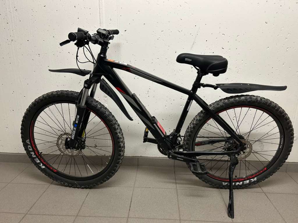 E-Bike, ESM 3100 PROPHETE GRAVELER Mountainbike, € 849,- (6365 Kirchberg in  Tirol) - willhaben