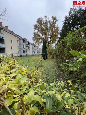 1-Zimmer-Wohnung mieten in Linz – 39,25 m², € 455 – Bild 3 von 5