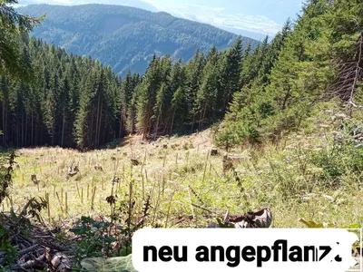 Grundstück kaufen in Spittal an der Drau – 34 977 m², € 75.000 – Bild 2 von 6