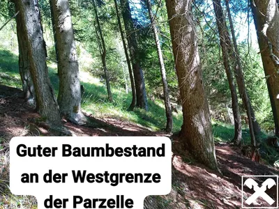 Grundstück kaufen in Spittal an der Drau – 34 977 m², € 75.000 – Bild 5 von 6