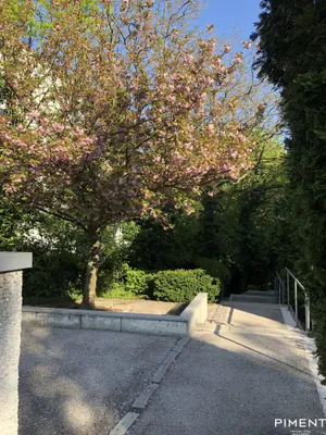 1-Zimmer-Wohnung mieten in Baden – 46,49 m², € 655 – Bild 11 von 14