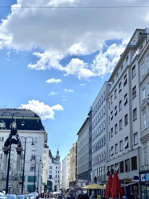 1-Zimmer-Wohnung mieten in Wien – 34,08 m², € 1.192 – Bild 7 von 9