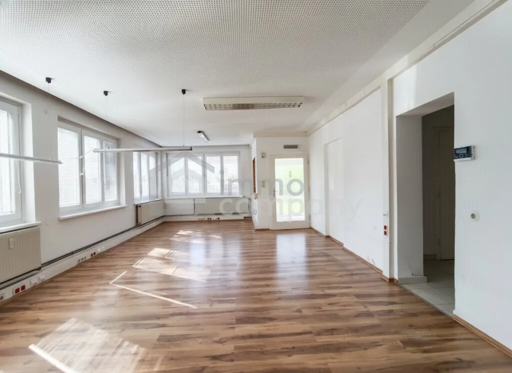 Viel Platz und noch mehr Möglichkeiten, Gewerbeobjekt im Bauen-Kernzone-Gebiet - Ansicht 3