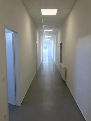 Immobilie mieten in Graz-Umgebung – 306 m², € 4.284 – Bild 6 von 20