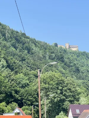Immobilie kaufen in Graz – 500 m² – Bild 8 von 23