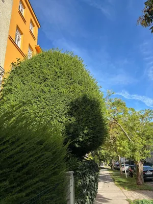 Wohnung inkl. Privatgarten, GERSTHOF, TOP-Lage! - SMART LIVING 1180 – Bild 3