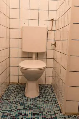 Apartment in Ottensheim - Ansicht 2