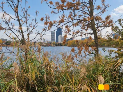3-Zimmer-Haus kaufen in Wien – 96 m², € 769.000 – Bild 33 von 42