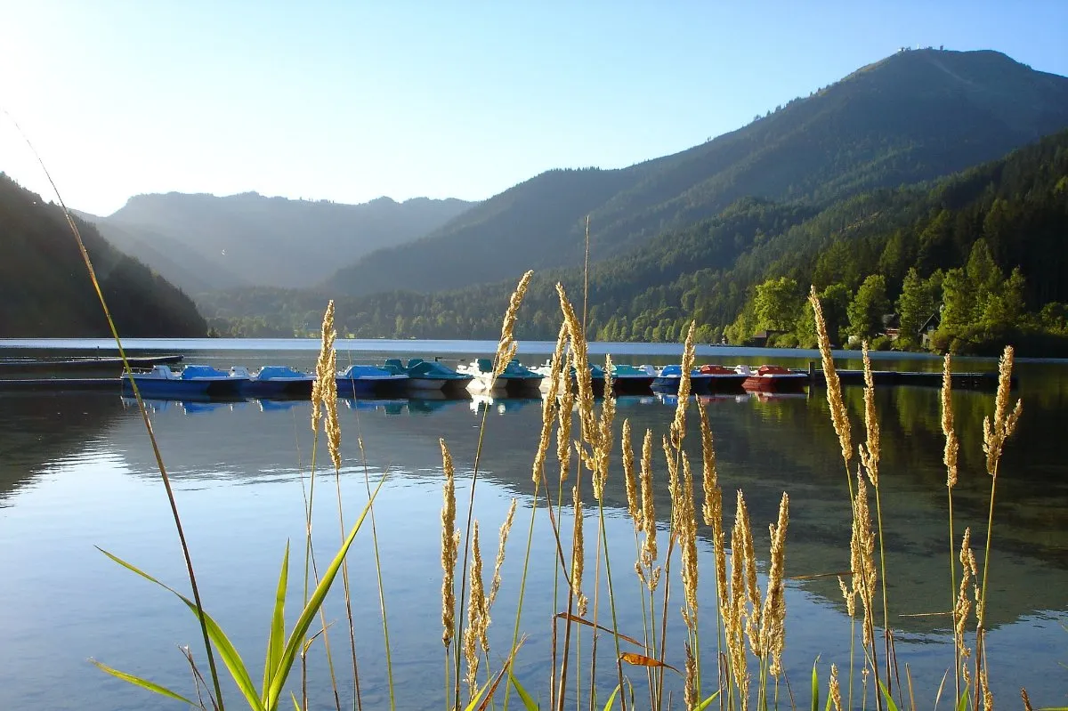 Wohnen direkt am Erlaufsee - Exklusiver neuer Bungalow mit privatem Seezugang & Bootssteg - Ansicht 2