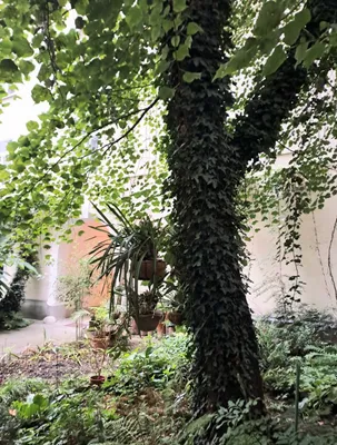 3-Zimmer-Wohnung kaufen in Wien – 80 m², € 530.000 – Bild 8 von 23