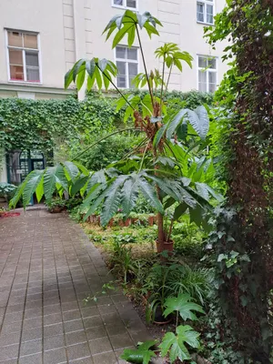 3-Zimmer-Wohnung kaufen in Wien – 80 m², € 530.000 – Bild 6 von 23