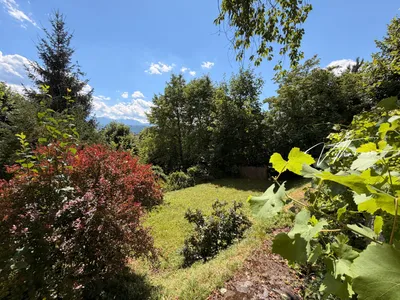 6-Zimmer-Wohnung mieten in Gmunden – 225 m², € 2.300 – Bild 3 von 18