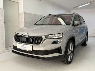 Skoda Karoq Ambition 4x4 ''LED-Navi-Virtual-Kamera-AHK''
