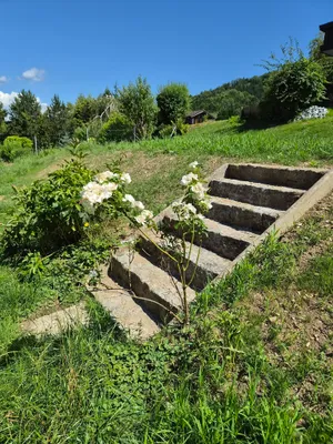 4-Zimmer-Haus mieten in Amstetten – 120 m², € 1.200 – Bild 19 von 20