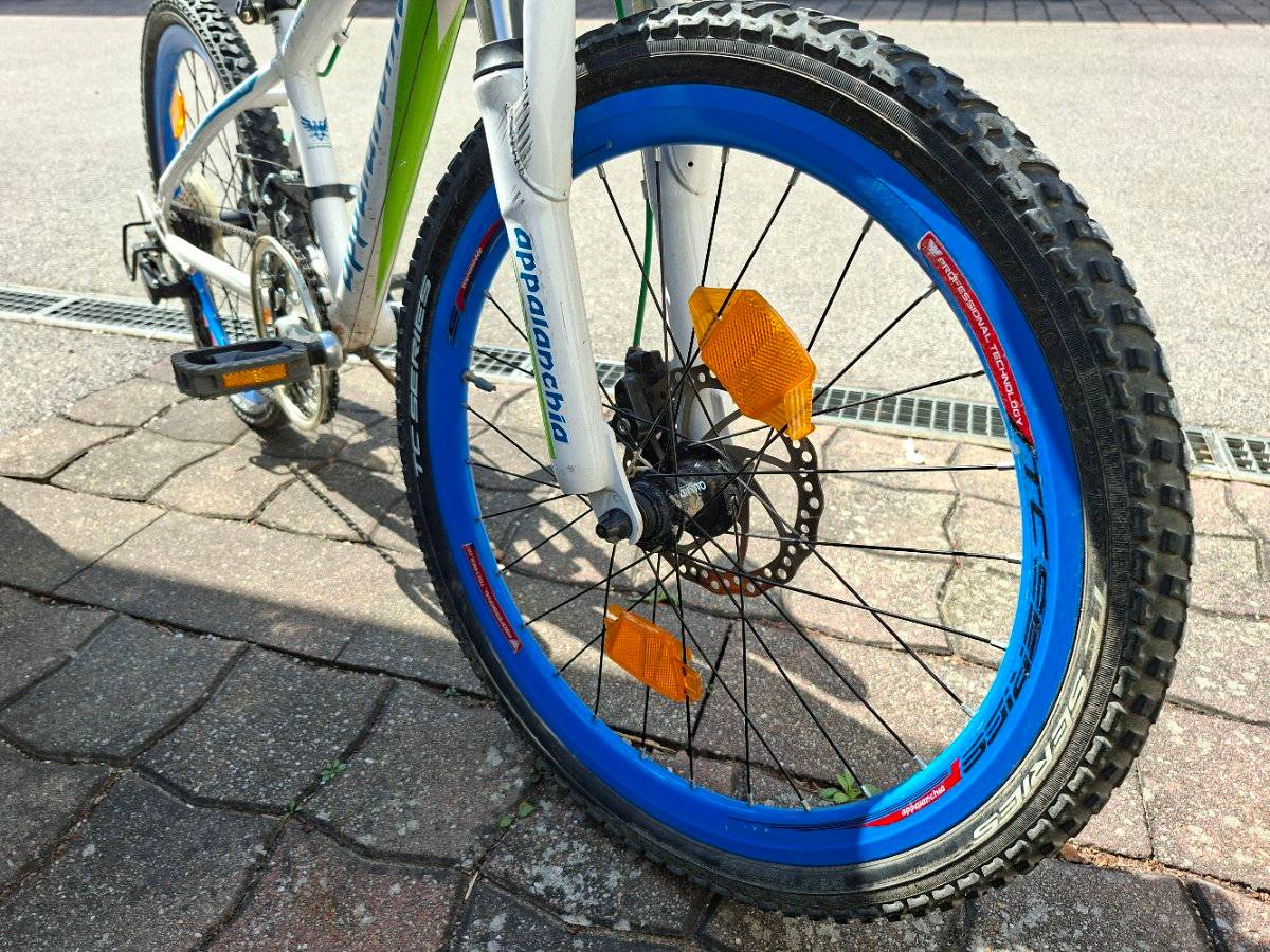 Kinderfahrrad 22 Zoll,  120,- (2100 Leobendorf) - willhaben