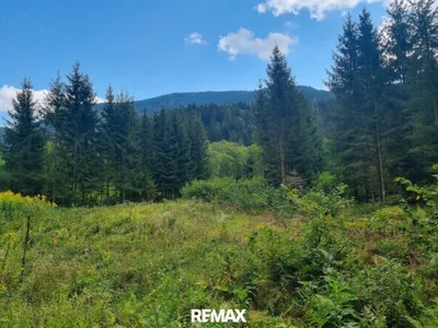 Immobilie kaufen in Spittal an der Drau – € 165.200 – Bild 4 von 9