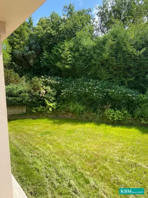 8-Zimmer-Immobilie kaufen in Sankt Pölten Land – 224 m², € 1.149.000 – Bild 6 von 23