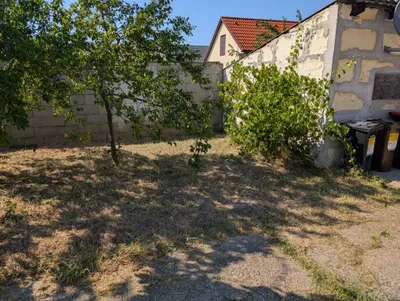 Haus kaufen in Neusiedl am See – 196,28 m², € 369.000 – Bild 9 von 30