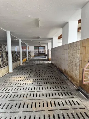 Immobilie kaufen in Salzburg-Umgebung – 375 m², € 4.770.000 – Bild 11 von 27