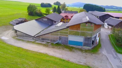Immobilie kaufen in Salzburg-Umgebung – 375 m², € 4.770.000 – Bild 5 von 27