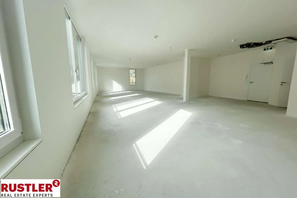BÜROFLÄCHE mit 217 m² in Mödling - Ansicht 3
