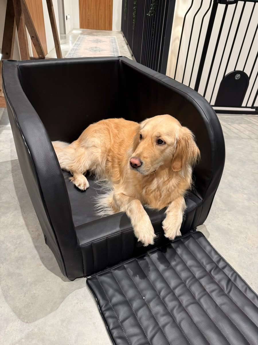 Dogstyler Hundebett Transportbox Leder Trendline M,  180,- (4224 Wartberg  ob der Aist) - willhaben