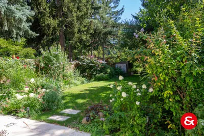 Haus mieten in Wien – 210 m², € 3.798 – Bild 20 von 35