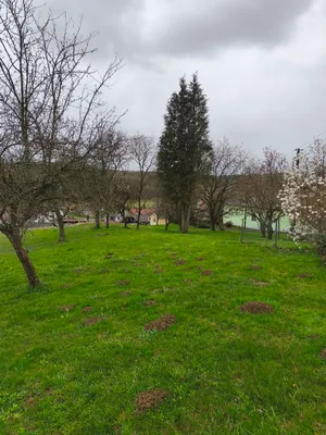 6-Zimmer-Haus kaufen in Güssing – 150 m², € 185.000 – Bild 15 von 23