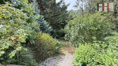 6-Zimmer-Haus kaufen in Sankt Pölten Land – 234 m², € 795.000 – Bild 23 von 28