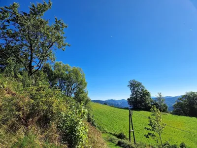 Grundstück kaufen in Voitsberg – 280 m², € 1.450.000 – Bild 5 von 18