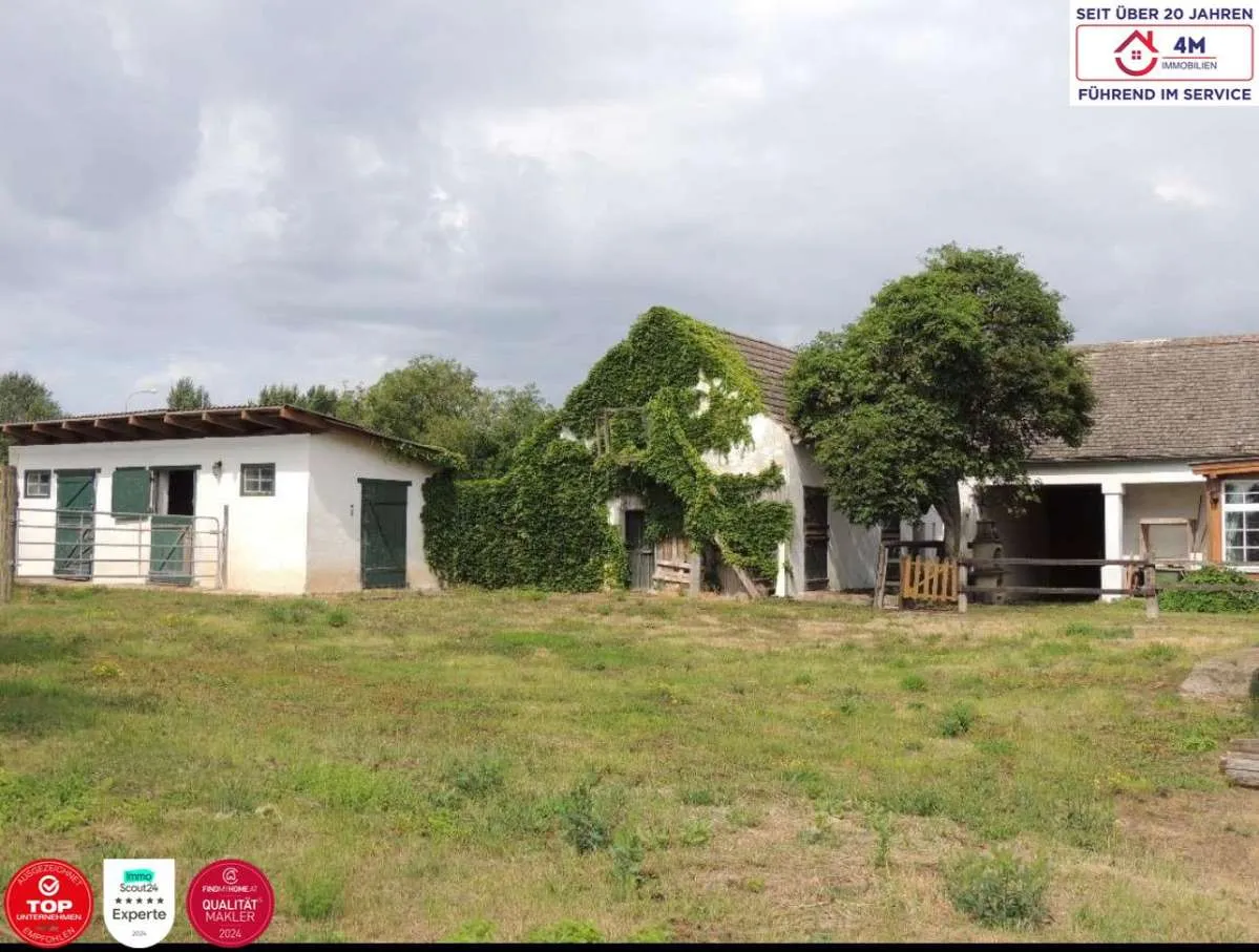 House in Wetzleinsdorf - Ansicht 2