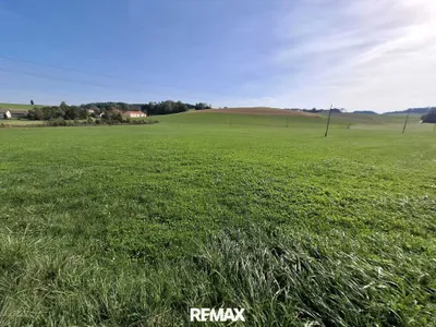 Grundstück kaufen in Ried im Innkreis – 31 369 m², € 298.000 – Bild 2 von 5