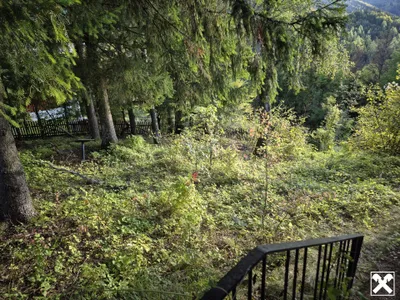 5-Zimmer-Haus kaufen in Scheibbs – 110 m², € 71.000 – Bild 21 von 28