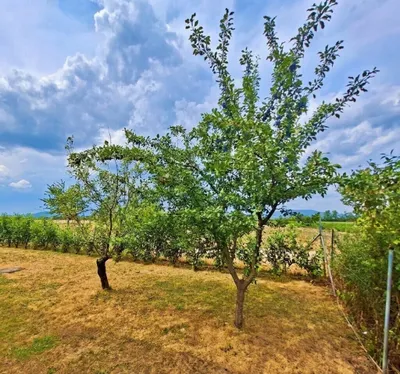 4-Zimmer-Haus kaufen in Baden – 147 m², € 549.900 – Bild 36 von 40