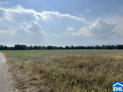 Immobilie kaufen in Baden – 117 965 m² – Bild 8 von 8