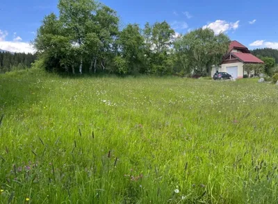 Grundstück kaufen in Tamsweg – 872 m², € 261.600 – Bild 2 von 7