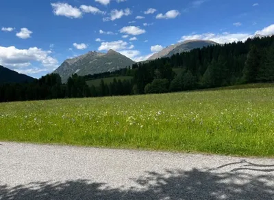 Grundstück kaufen in Tamsweg – 872 m², € 261.600 – Bild 4 von 7