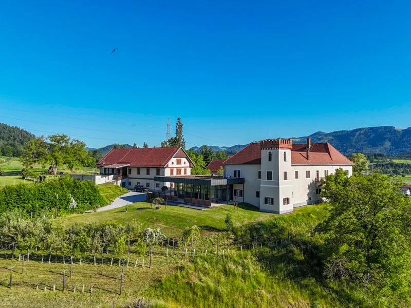 Land & Gut: Arrondierte Allein- & Aussichtslage - Schloss Kolhof. - Vista 3
