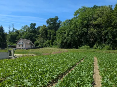 Grundstück kaufen in Linz Land – 1 039 m², € 398.000