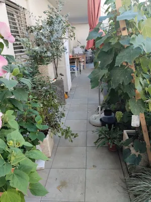 2-Zimmer-Wohnung kaufen in Graz – 76 m², € 470.000 – Bild 6 von 10