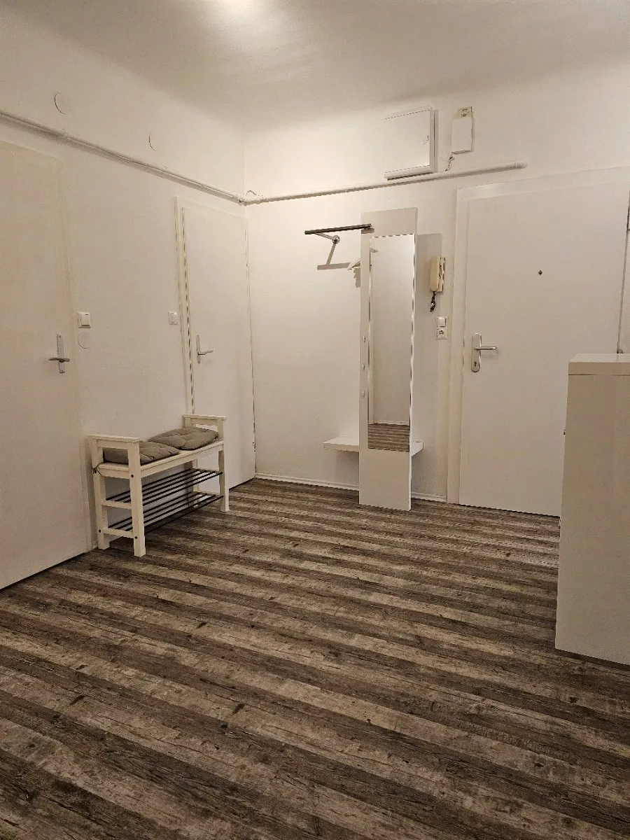Große 3 Zimmer Wohnung zentral in Wien 1200 ab sofort – pohled 2