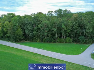 Immobilie kaufen in Ried im Innkreis – 3 481 m², € 23.500 – Bild 11 von 13