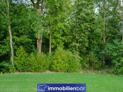 Immobilie kaufen in Ried im Innkreis – 3 481 m², € 23.500 – Bild 10 von 13