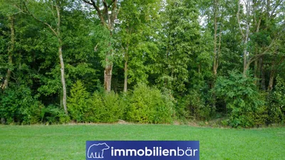 Immobilie kaufen in Ried im Innkreis – 3 481 m², € 23.500 – Bild 4 von 13