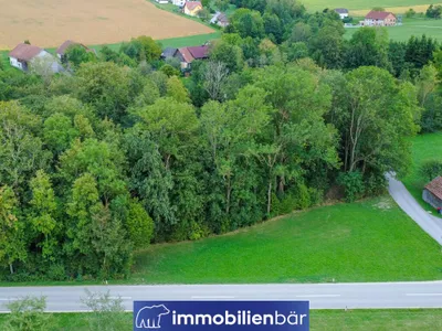 Immobilie kaufen in Ried im Innkreis – 3 481 m², € 23.500 – Bild 12 von 13