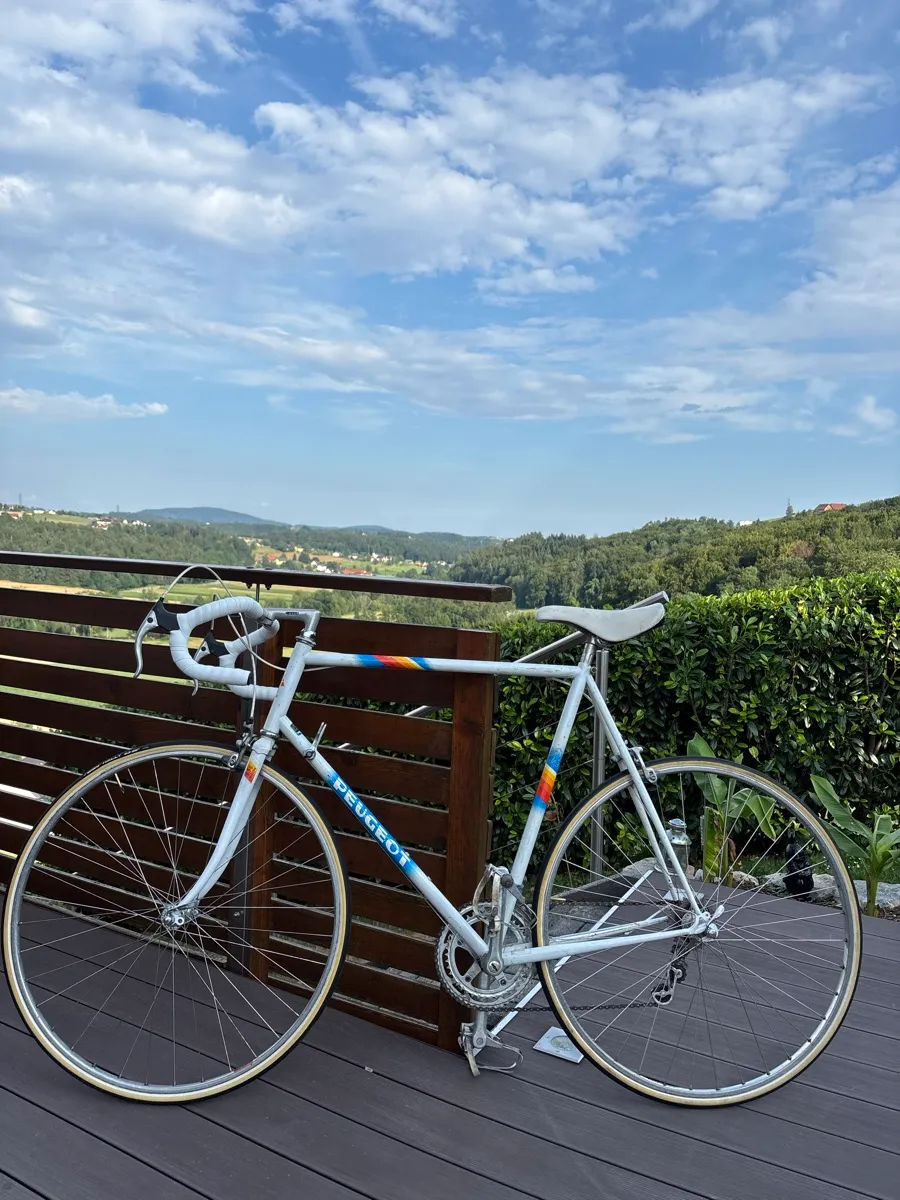 rw fahrradschloss Ruhr-West Manufaktur Faltschloss für Fahrrad, Motorrad, E-Bike, 80cm Rock Couleur:Olivgrün CARLA | Dein professioneller 180 mm und 220