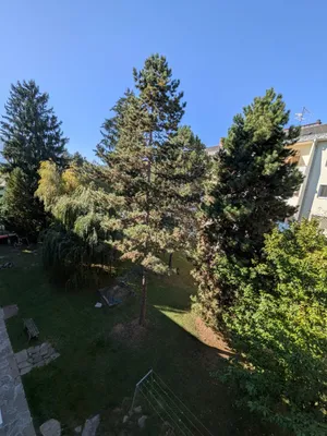 3-Zimmer-Wohnung kaufen in Graz – 63 m², € 160.000 – Bild 13 von 20