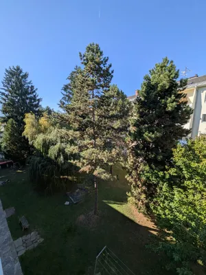 3-Zimmer-Wohnung kaufen in Graz – 63 m², € 160.000 – Bild 11 von 20