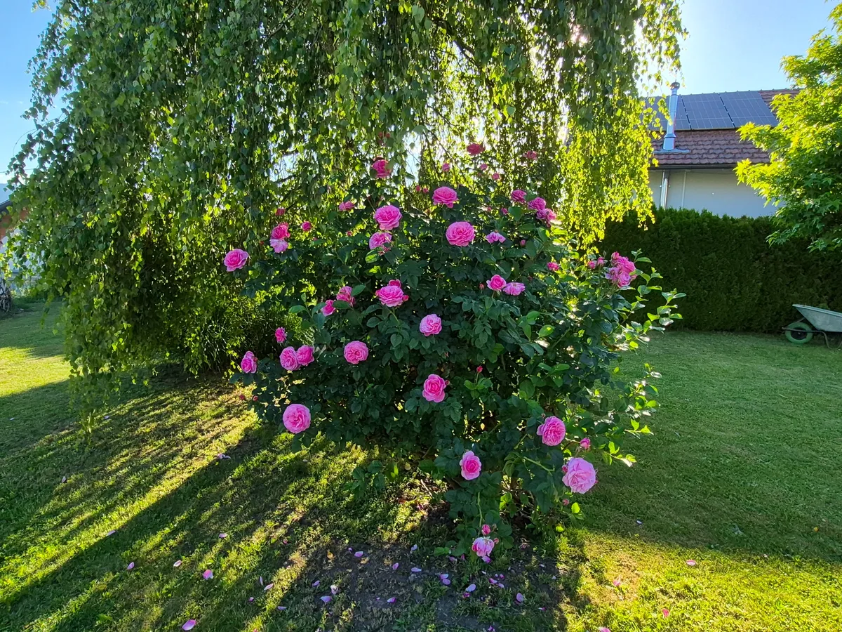 House in Wernberg, Damtschach - Ansicht 2