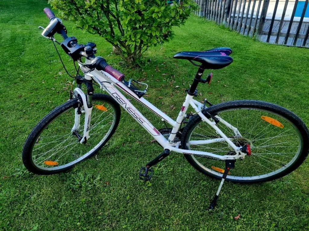 fischer e bike fully Electric montis EM 1862 2024 refurbished Preis_1-5€ Farbe:Mint Keimgefahr: Beim Aufwärmen von